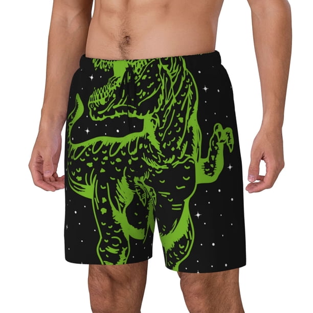 Fotbe DINOSAUR IN SPACE Traje de Baño para Hombre – Shorts de Natación de Secado Rápido con Forro y Bolsillos-Large