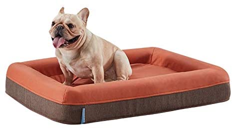 orthopedic bolster dog bed large