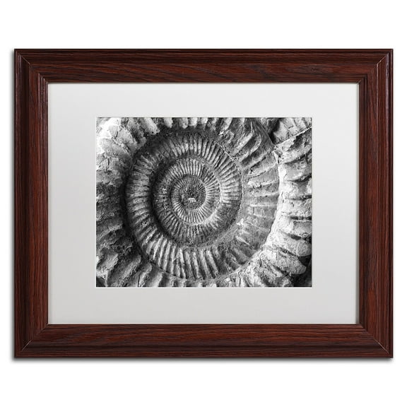Trademark Fine Art "Amonita 2" Canvas Art by Moises Levy White Matte, Wood Frame