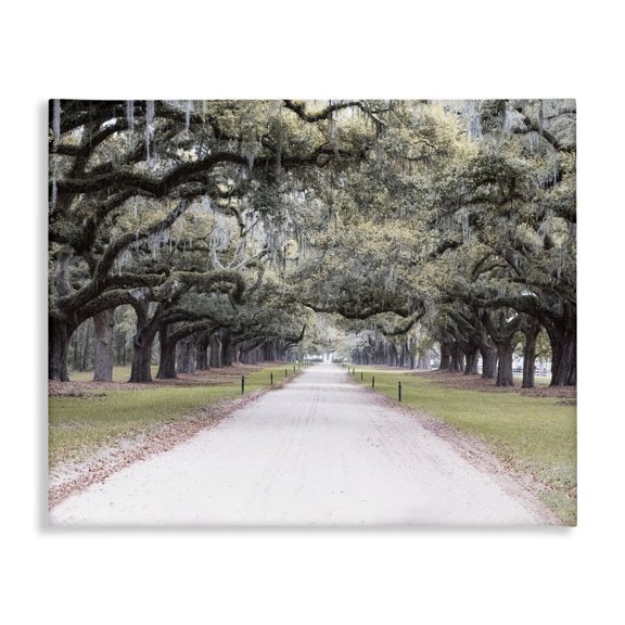 Stupell Industries Rustic Lodge Tree Grove Path Photography Canvas Art, 20 x 16, by Ramona Murdock