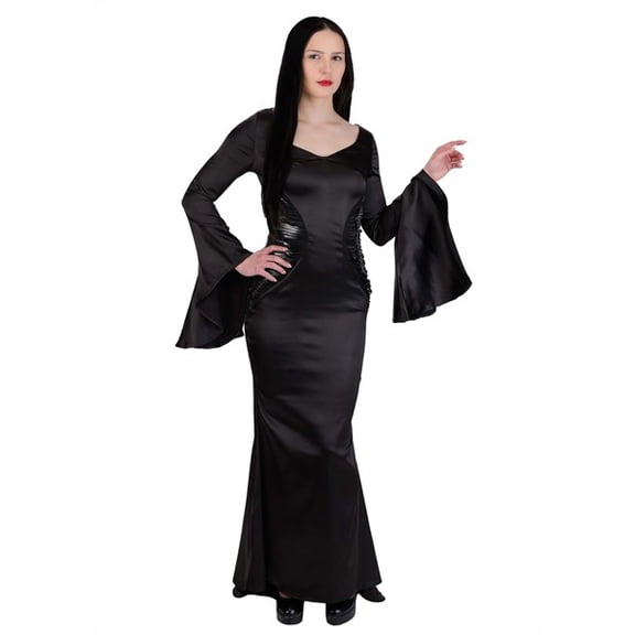 The Addams Family Women's Morticia Costume Dress | TV Show Costumes