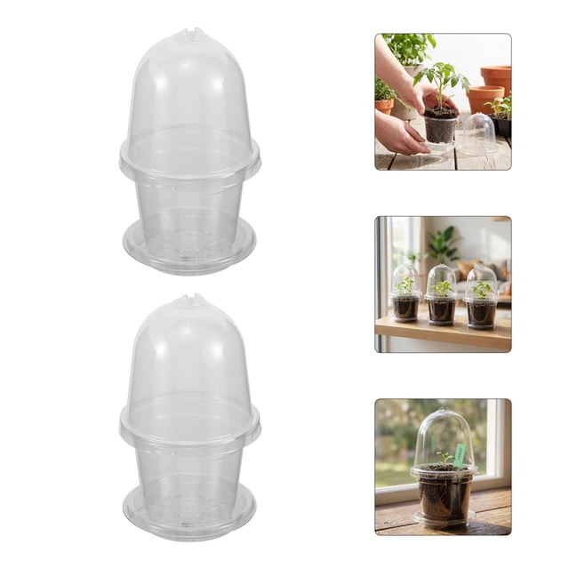Houderco 10Ud Para Con Tapa Transparente Para Control De Humedad Y Crecimiento De Plantas