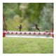 thumbnail image 4 of Comedero Colibrí con Agujero Tubo Transparente Fácil de Usar y, 4 of 8