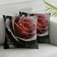 thumbnail image 3 of Fenyluxe Throw Pillow Cover Black Rose Vintage Style Retro Flowers Black Victorian Bouquet Peony Hand Drawn Romantic Decor Lumbar Pillow Case Cushion for Sofa Couch Bed Standard Queen 2pcs White, 3 of 7