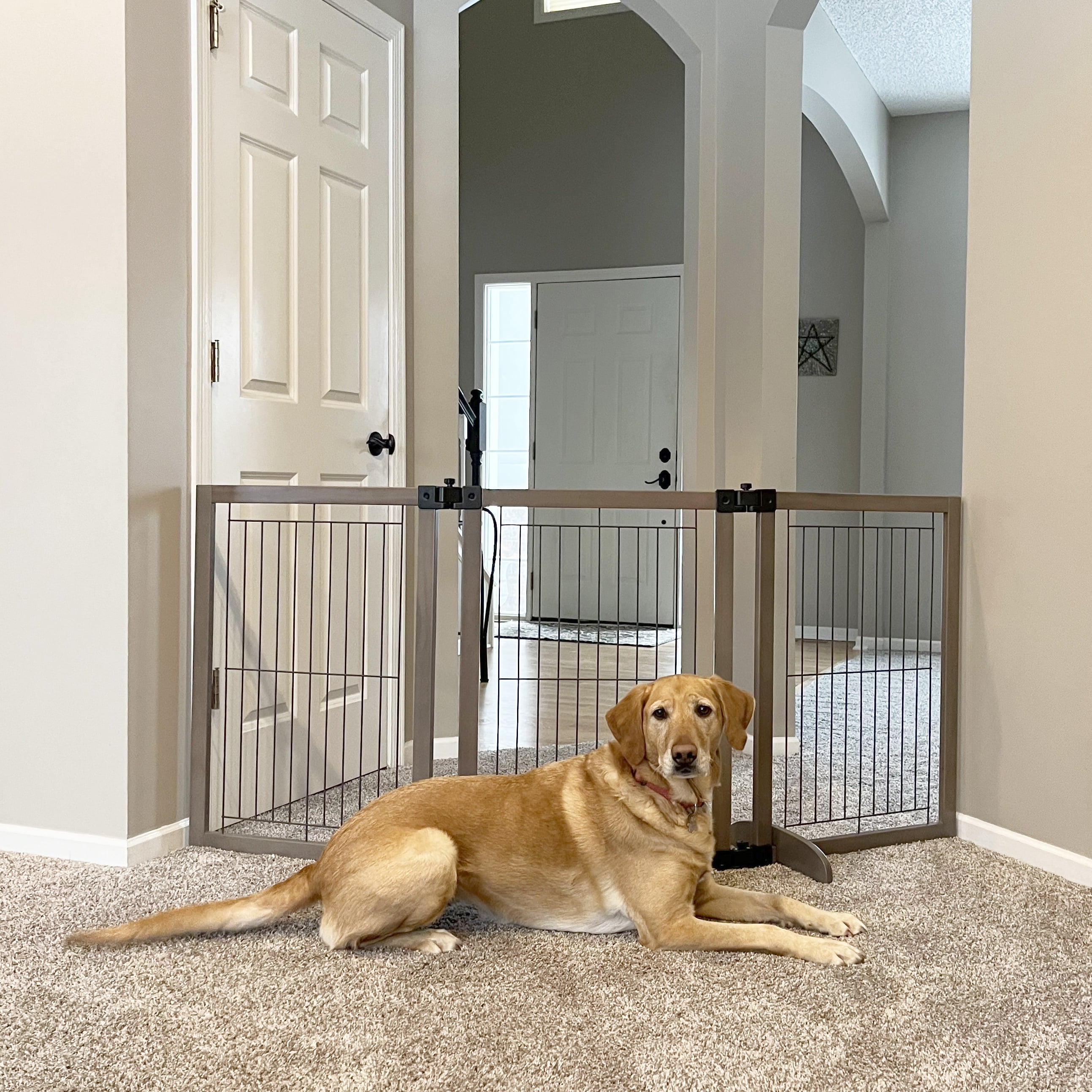 North States MyPet Extra-Wide Freestanding Versa-Lock Pet Gate, Expands to 72" Wide
