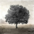 thumbnail image 2 of Allen, Kimberly 26x26 White Modern Wood Framed Museum Art Print Titled - Tree Silhouette 2, 2 of 4