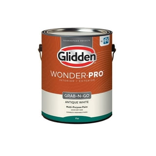 Glidden 2024 paint samples