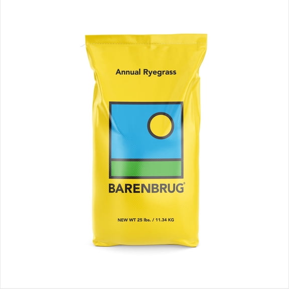 Barenbrug Annual Ryegrass Partial Shade/Sun Grass Seed 25 lb