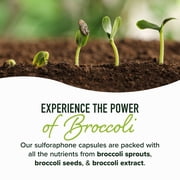 50MG Sulforaphane Supplement from Broccoli Sprouts | NRF2 Activation with Glucoraphanin, Myrosinase & Antioxidants | Support Cellular & Immune Health | Broccoli Seed Microbeadlets, Vegan 60 Count
