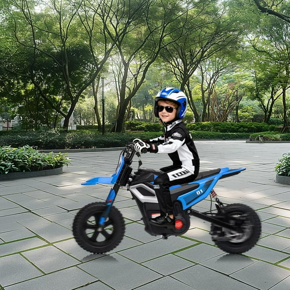 EastVita 24V Electric Dirt Bike for 10-12 Years,Fat Tire & Suspension,Rechargeable Battery,130lbs Load,Ideal Teen Boys Gift,Blue