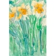 thumbnail image 2 of Dixon, Samuel 23x32 Black Ornate Wood Framed with Double Matting Museum Art Print Titled - Daffodils Stems I, 2 of 4