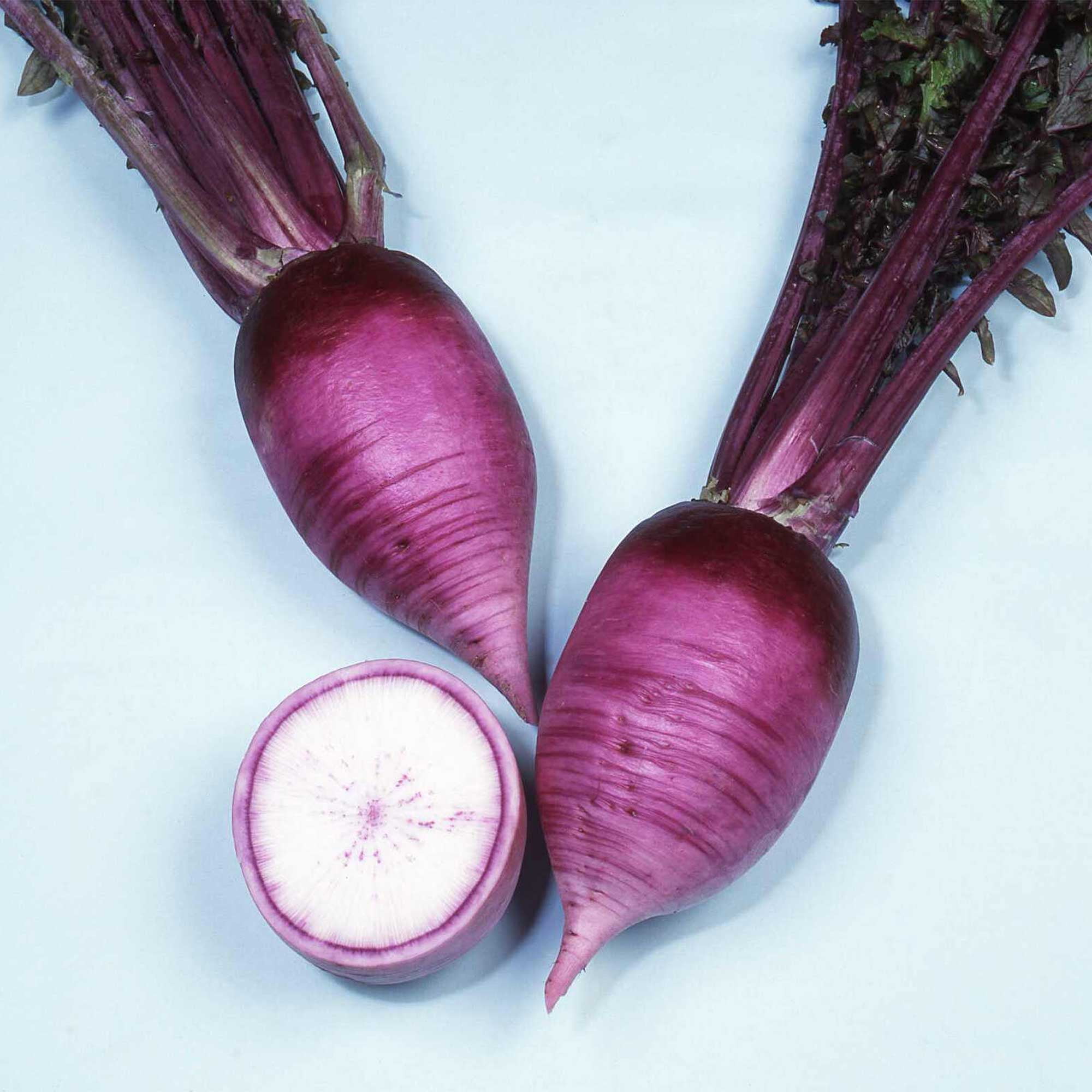 Hot Radish Seeds AKA Karaine Hybrid 1 g Packet 115 Seeds Non