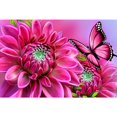 thumbnail image 1 of Wdftyju Pintura de diamantes redondos de la serie de flores y mariposas de bricolaje Wdftyju 5sy8am3du3vx0yz4, 1 of 9
