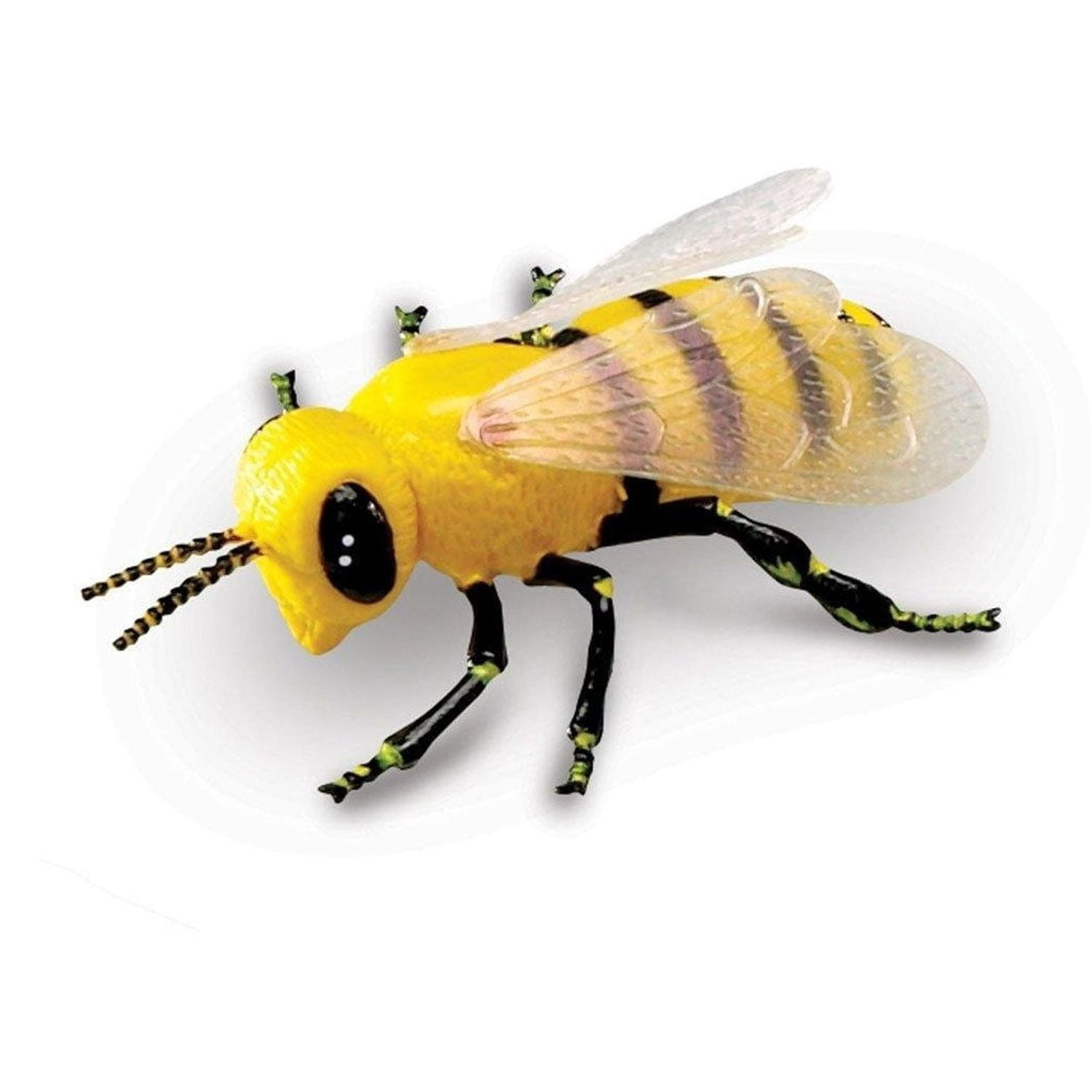 Learning Resources Jumbo Insects, Animal Toys for Kids, Ages 3+