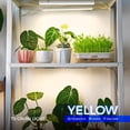 thumbnail image 2 of Luces LED de cultivo Barrina T5 de espectro completo, paquete de 8, 30 cm, 2 of 9