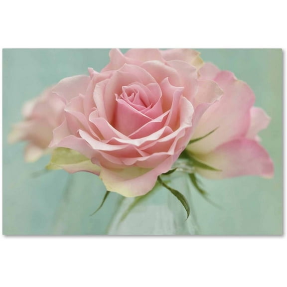 Trademark Fine Art 'Pink Roses' Canvas Art by Cora Niele