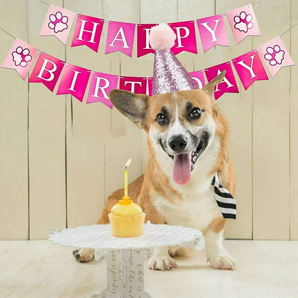 Dog Birthday Party Decorations Supplies 12 Pcs Pink Themed Pet Birthday Hat Tutu Skirt Scarf Happy Birthday Banner Dog Girl Birthday Outfit for Pet Puppy Girl Walmart