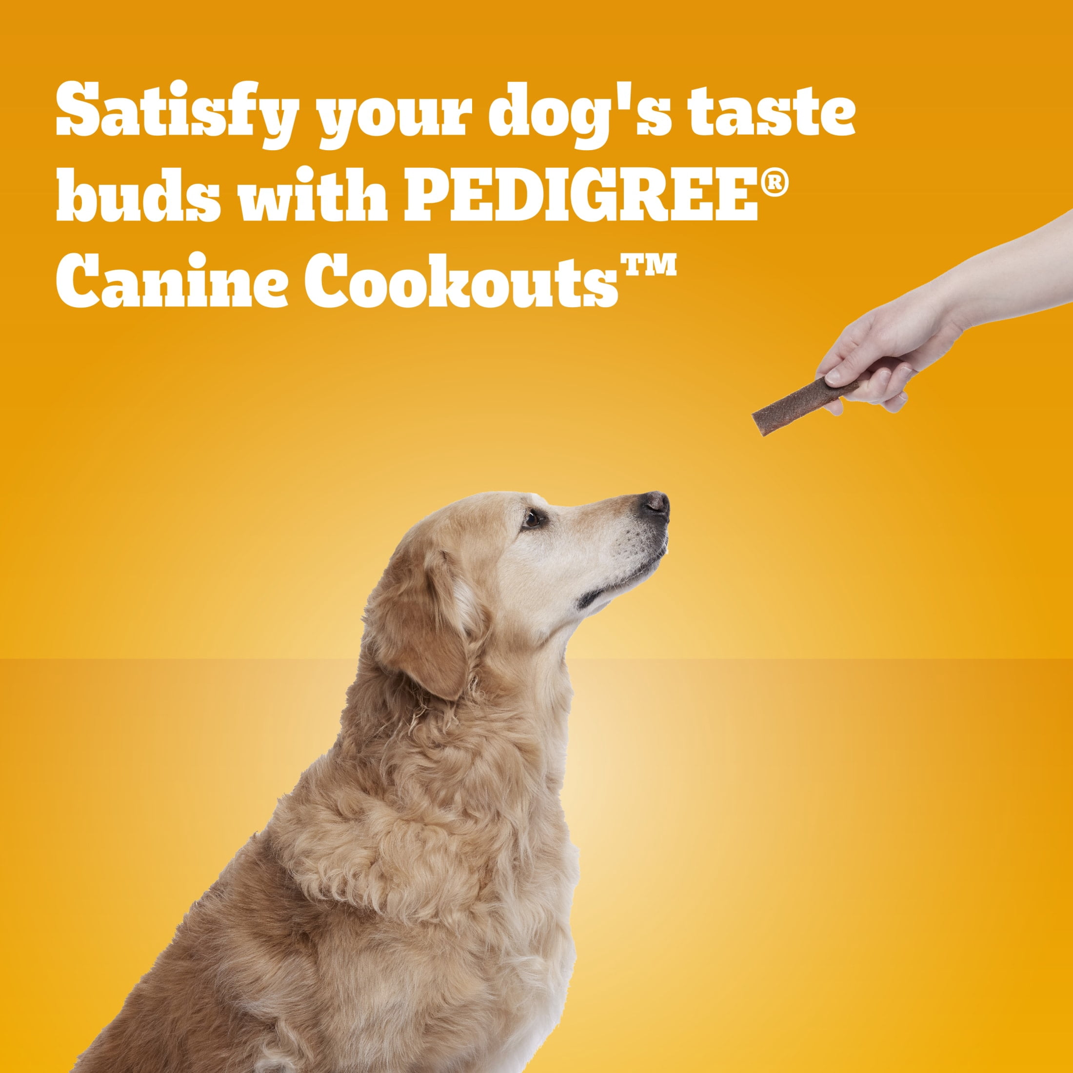 Pedigree Canine Cookout Soft Dog Treats, Chicken Flavored Meaty Strips, 18.2 oz Bag