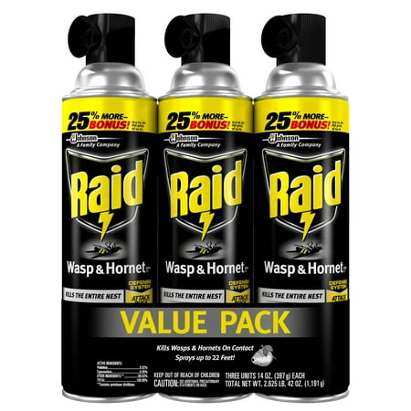 Raid Wasp & Hornet Killer (14 oz, 3 ct) (Best Wasp And Hornet Killer)