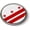 Plastic Bezel, variant on Washington, D.C. Flag 3D Domed CAR Emblem Badge Sticker Chrome Metal Round Bezel