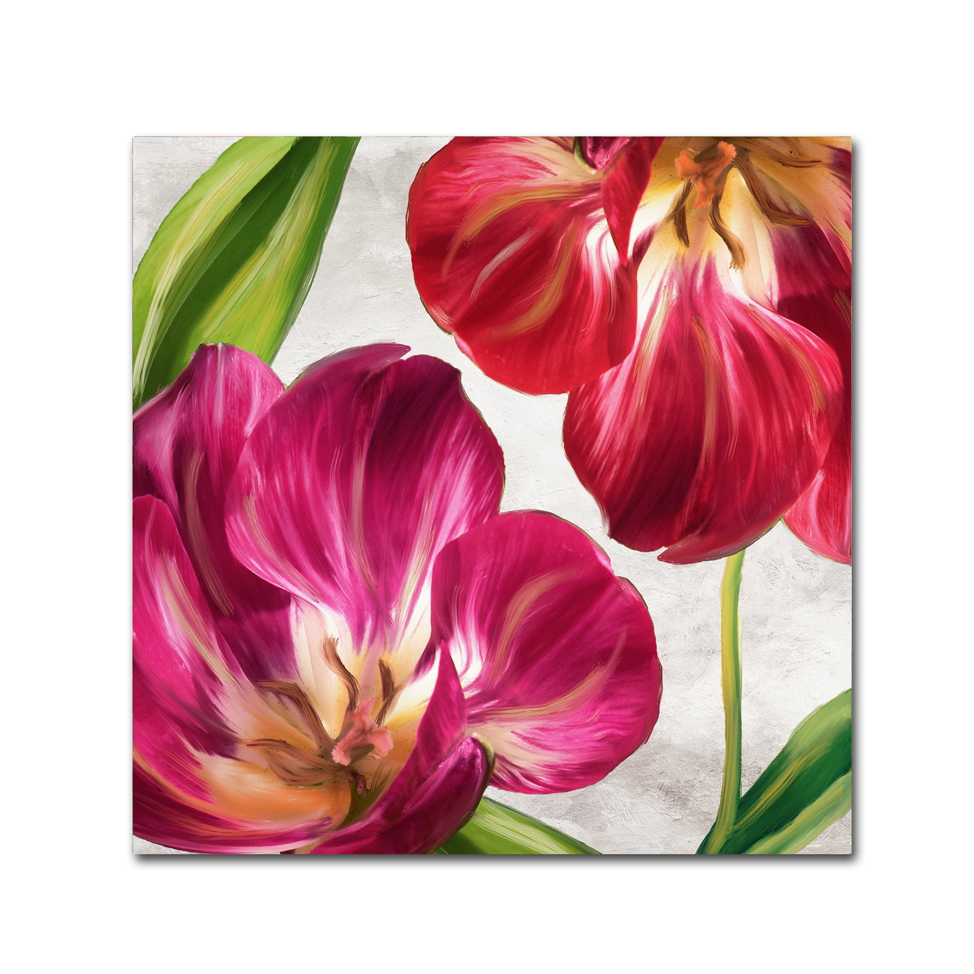 Trademark Fine Art "Open Arms I" Canvas Art by Color Bakery