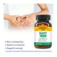 thumbnail image 3 of Country Life 25 mg Easy Iron 90 Vegan Capsules, 3 of 7