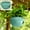 Green-GN Home Decor, variant on karymi Plastic Garden Hanging Pot with Simulation Plants Artificial Flower Basket for Balcony Patio Indoor Outdoor Decor 18x13.5cm 7.09in up to 70% off up to 70% off up to 70% off