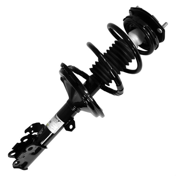 Suspension Strut and Coil Spring Assembly