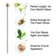 thumbnail image 3 of Stainless Steel Cocktail Picks Fruits Toothpicks Appetizer Metal Toothpicks, 3 of 5