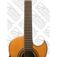 thumbnail image 3 of Bajo Quinto Electroacústico Oscar Schmidt OH42SE Natural, 3 of 7