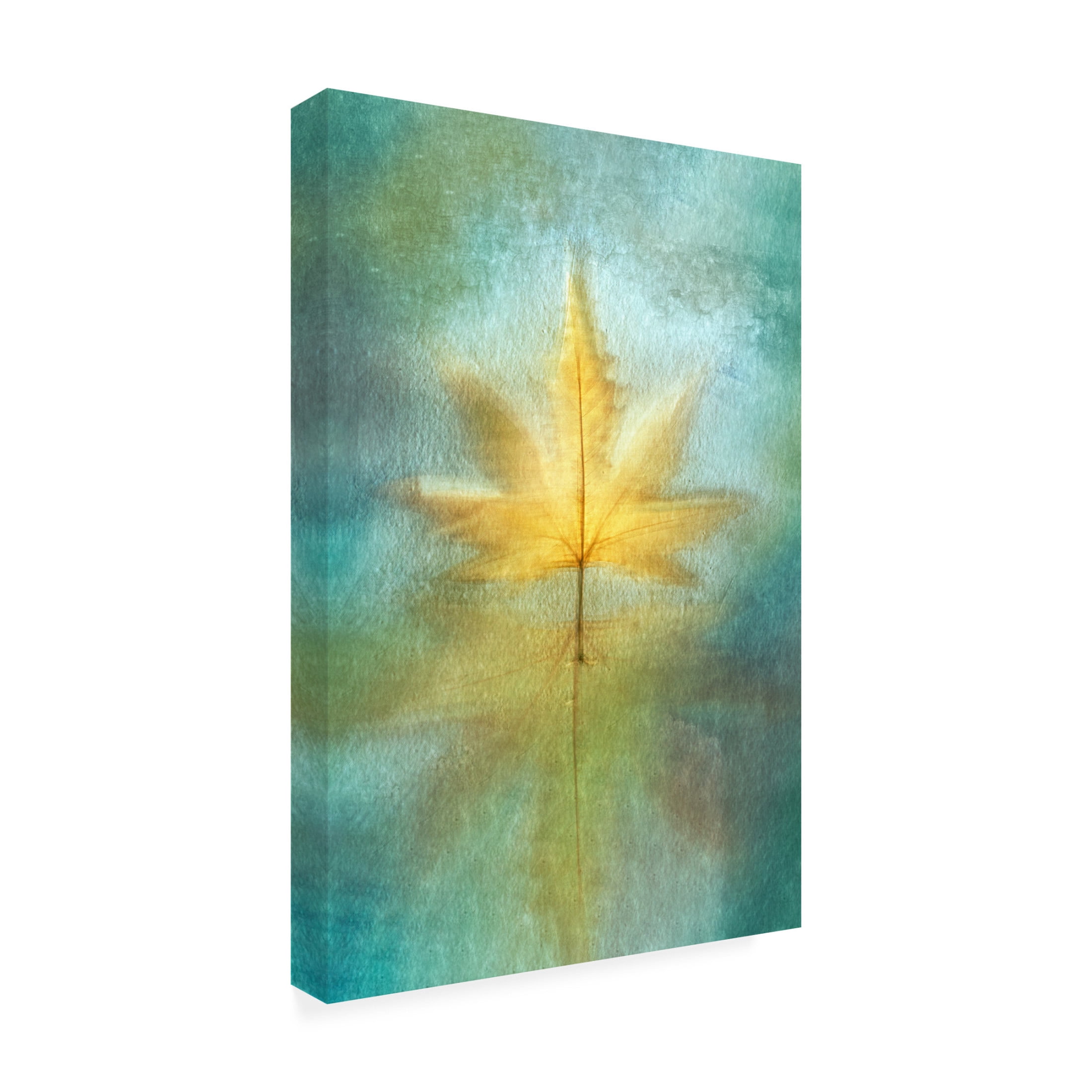 Trademark Fine Art Cicek Kiral Reflections Canvas Wall Art