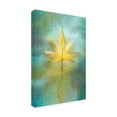 thumbnail image 4 of Trademark Fine Art Cicek Kiral Reflections Canvas Wall Art, 4 of 4