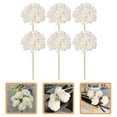 thumbnail image 3 of Recardis 6Pcs Flower Reed Diffuser Sticks Natural Rattan Reed Essential Oil Aroma Diffuser Sticks, 3 of 7