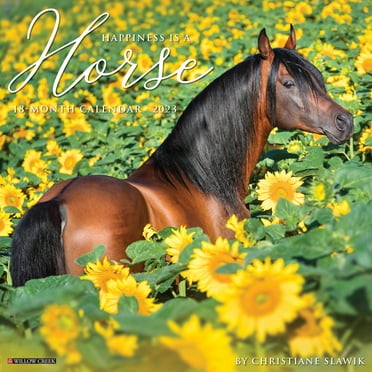 Paint Horses 2023 Wall Calendar - Walmart.com