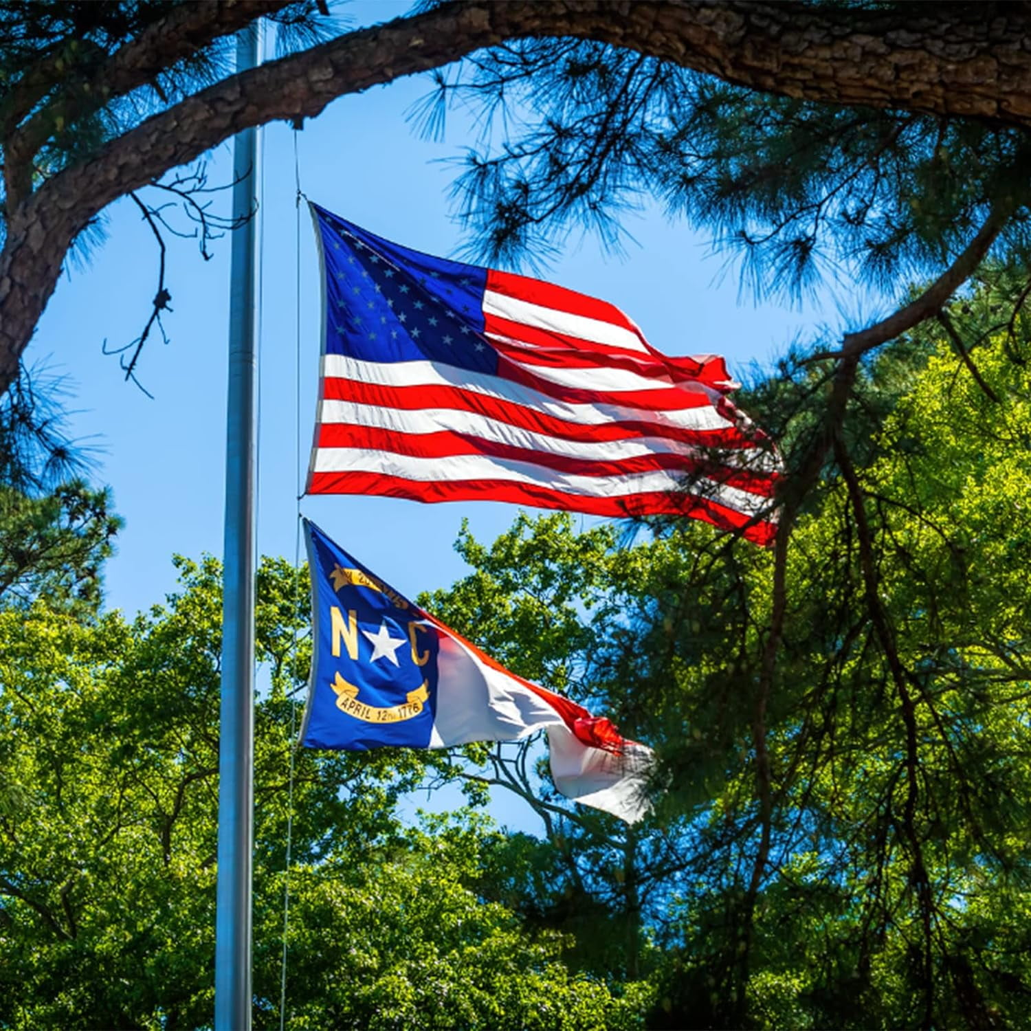 FLAGWIN North Carolina Flag 3x5 FT - Embroidered Polyester North Carolina State Flag with Brass Grommets - Vivid Color and Fade Proof State of NC Flag 3x5 Outdoor