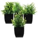 thumbnail image 4 of 4pcs Fake Plants in Black Pot Mini Artificial Eucalyptus Potted Plant Small Faux Grass Greenery Potted Plants for Indoor Home Office Farmhouse Bathroo, 4 of 4
