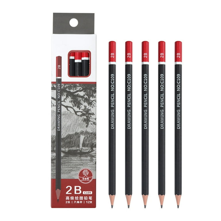 Professional Drawing Sketching Pencil Set 12Pcs Graphite Pencils for  Beginners and Pro Artists 2B