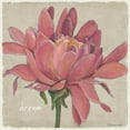 thumbnail image 2 of Marrott, Stephanie 12x12 Gold Ornate Wood Framed with Double Matting Museum Art Print Titled - Dream Floral, 2 of 4