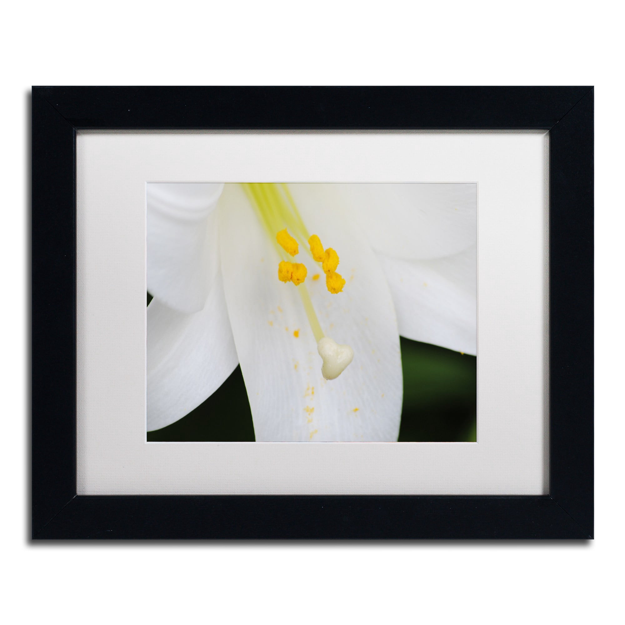 Trademark Fine Art "Adore You" Canvas Art by Monica Mize, White Matte, Black Frame