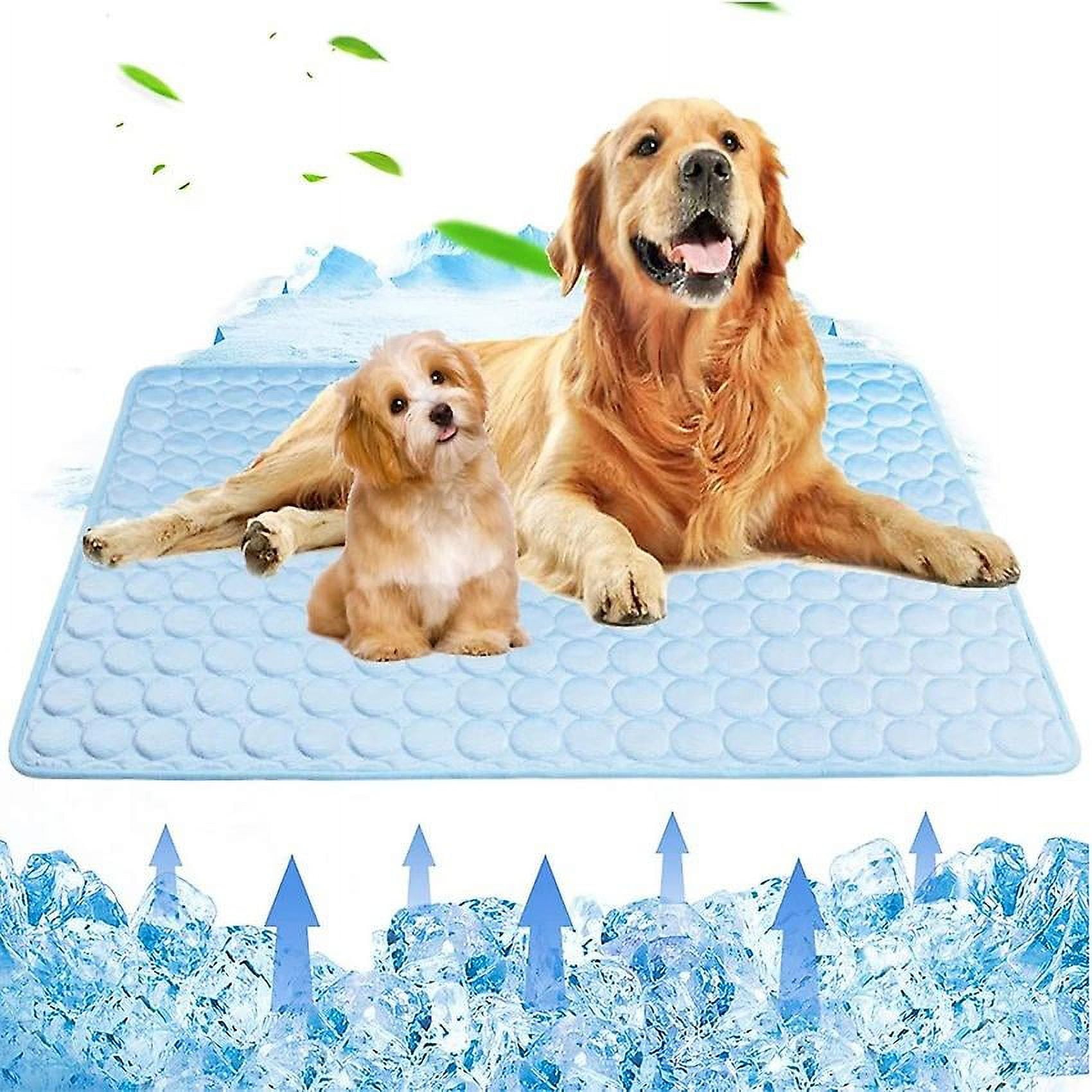 Non slip dog blanket sale