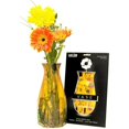 thumbnail image 4 of MODGY Vase à Fleurs Extensible Myvaz Collection The Masters, 4 of 5