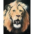 thumbnail image 2 of Rhyan, Vivien 26x32 White Modern Wood Framed Museum Art Print Titled - Lion, 2 of 4