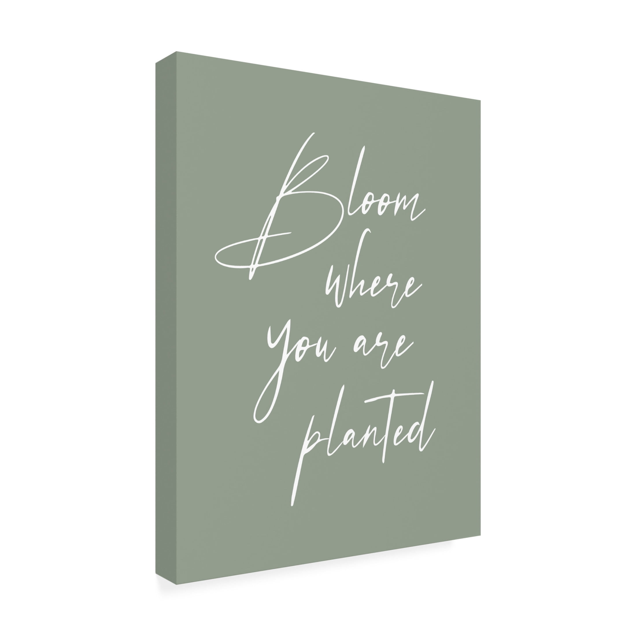 Trademark Fine Art Beth Cai Bloom Canvas Wall Art