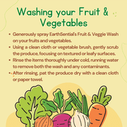 EarthSential Fruit and Veggie Wash All Natural Produce Wash with Trigger Sprayer, Natural Scent, 32 fl oz