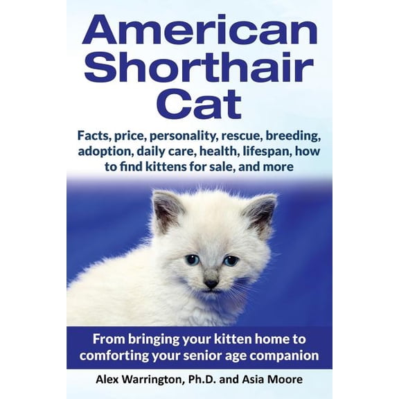 American Shorthair Cat: From bringing your kitten home to comforting your senior age companion, (Paperback)