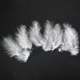 thumbnail image 5 of 300 Multicolored Feathers for Creative Crafts, Weddings & Home Decor (White), 5 of 7