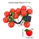 thumbnail image 3 of Solar Powered Simulated Fruit String Lights Outdoor Courtyard Waterproof Decorative Ambient Lights Festival Decorations And Scenery Lights, 3 of 6