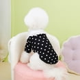 thumbnail image 2 of Adorable Pet Clothes for Cats & Small Dogs - Charming Spring & Autumn Wear, 2 of 5