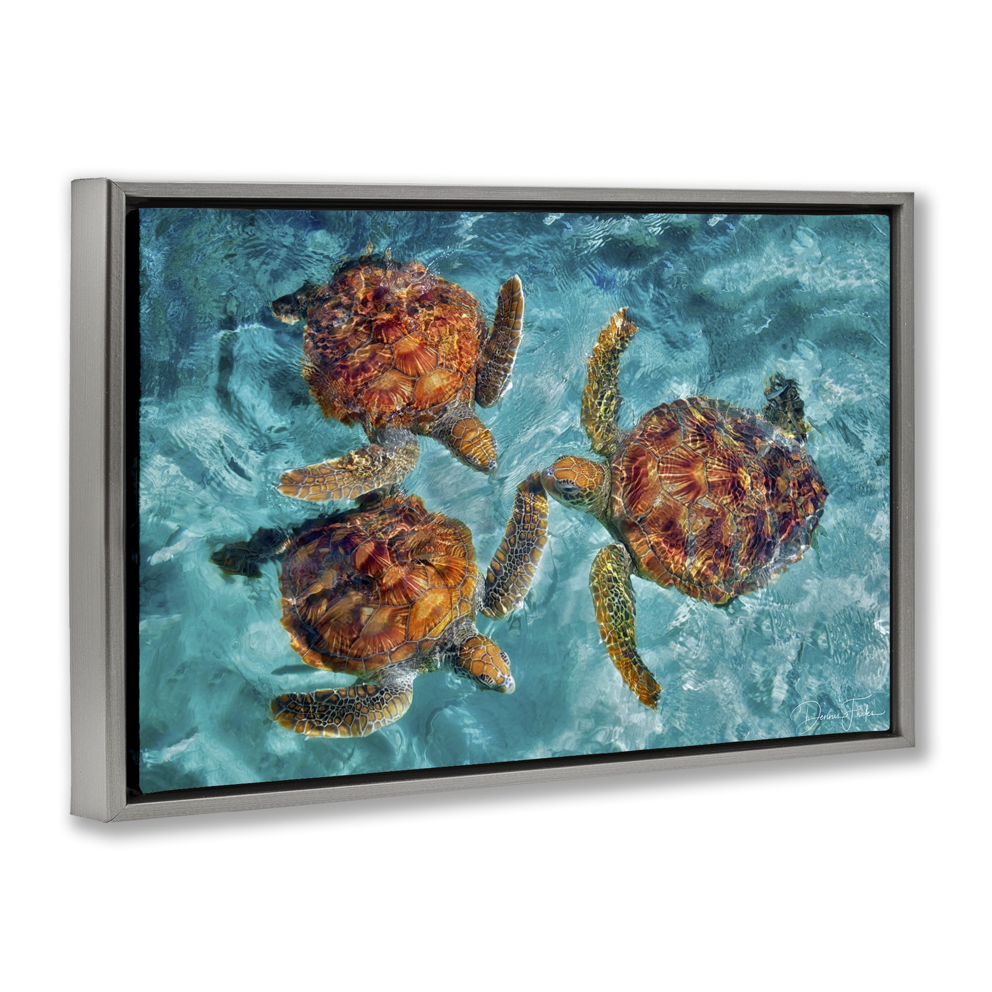 Stupell Industries Swimming Tortoise Trio Animals & Insects Painting Gray Floater Framed Canvas Art Print Wall Art, 31 x 21