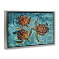 thumbnail image 4 of Stupell Industries Swimming Tortoise Trio Animals & Insects Painting Gray Floater Framed Canvas Art Print Wall Art, 31 x 21, 4 of 10
